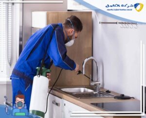 افضل شركه مكافحه النمل الابيض بالاحساء