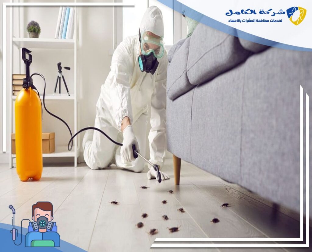 مكافحة الصراصير بالاحساء