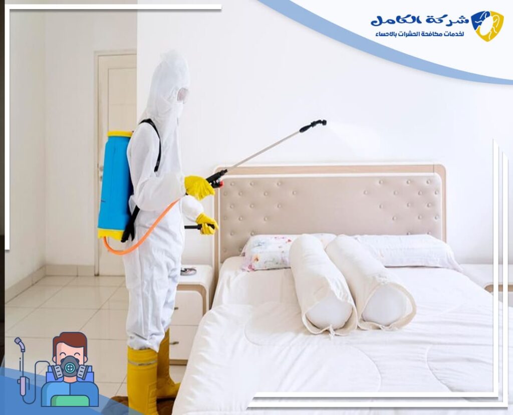 مكافحة بق الفراش بالاحساء