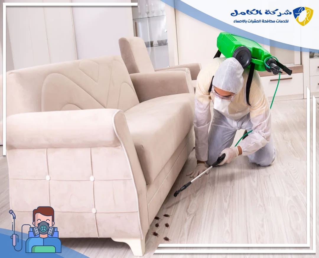 شركة مكافحة حشرات بالاحساء