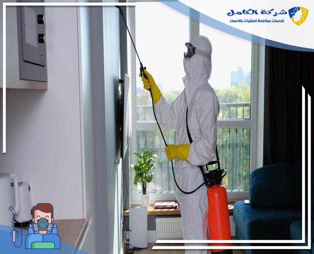 مكافحة فئران بالاحساء