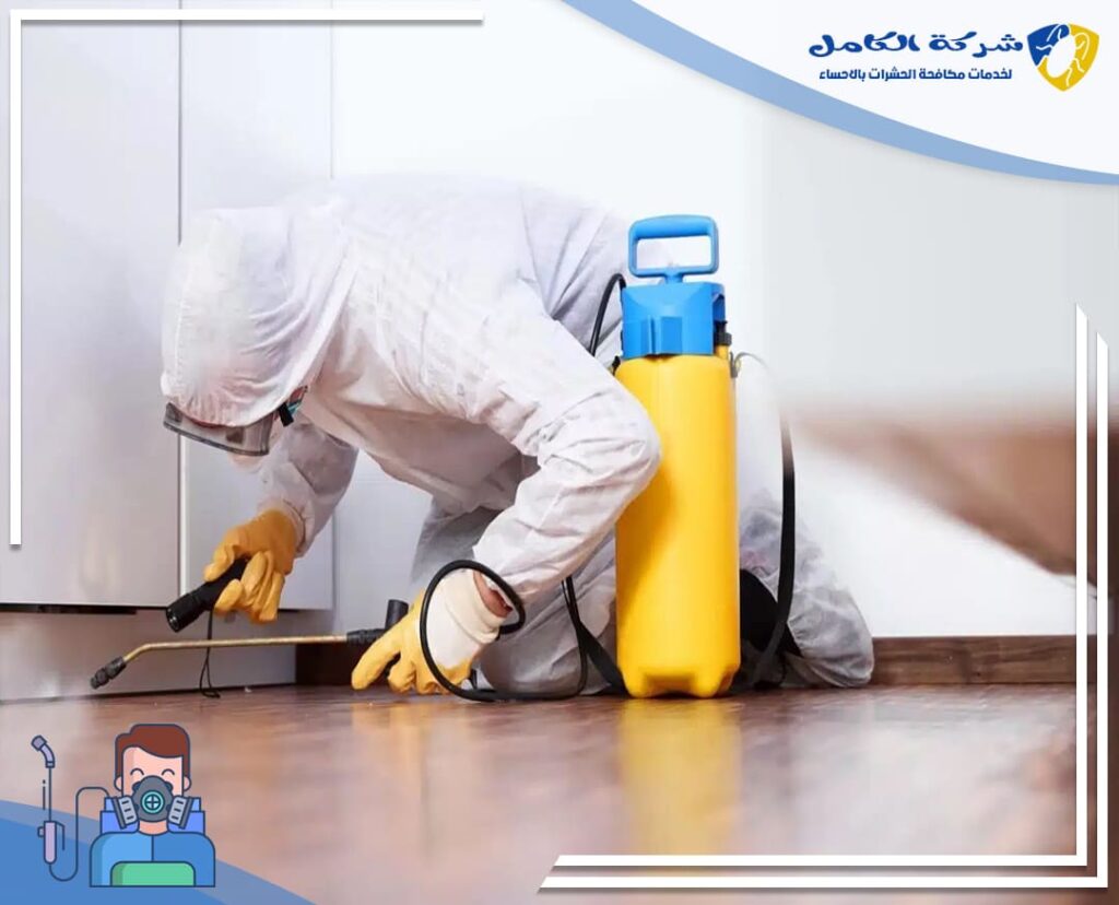 مكافحه النمل الابيض بالاحساء